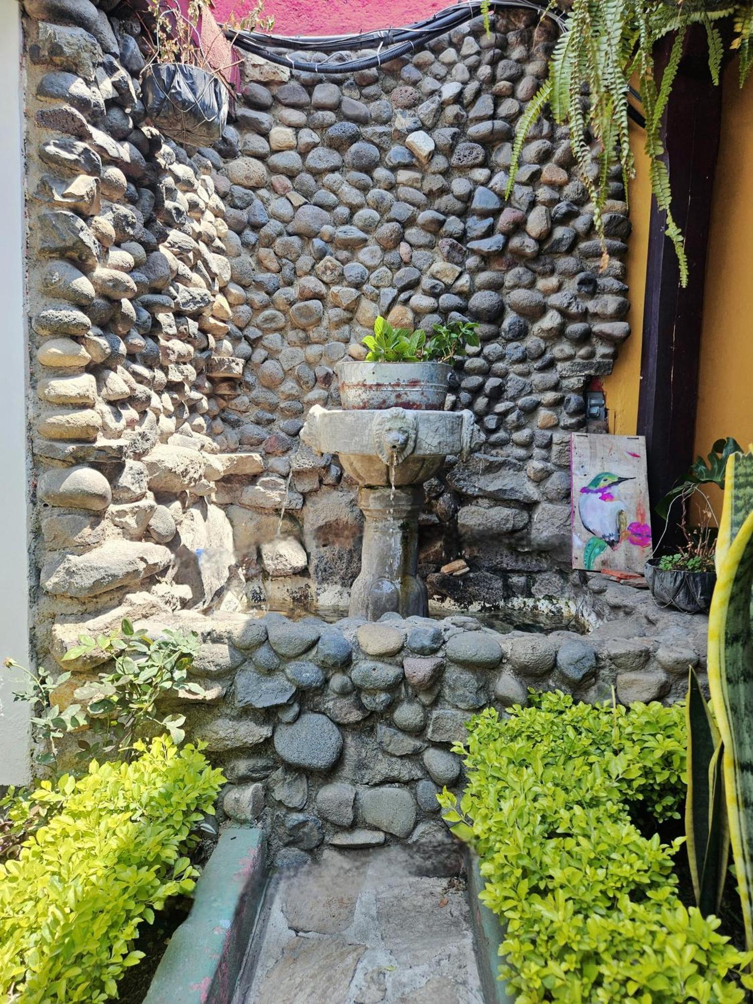 אנטיגואה גואטמלה Casa Nikte Hotel מראה חיצוני תמונה