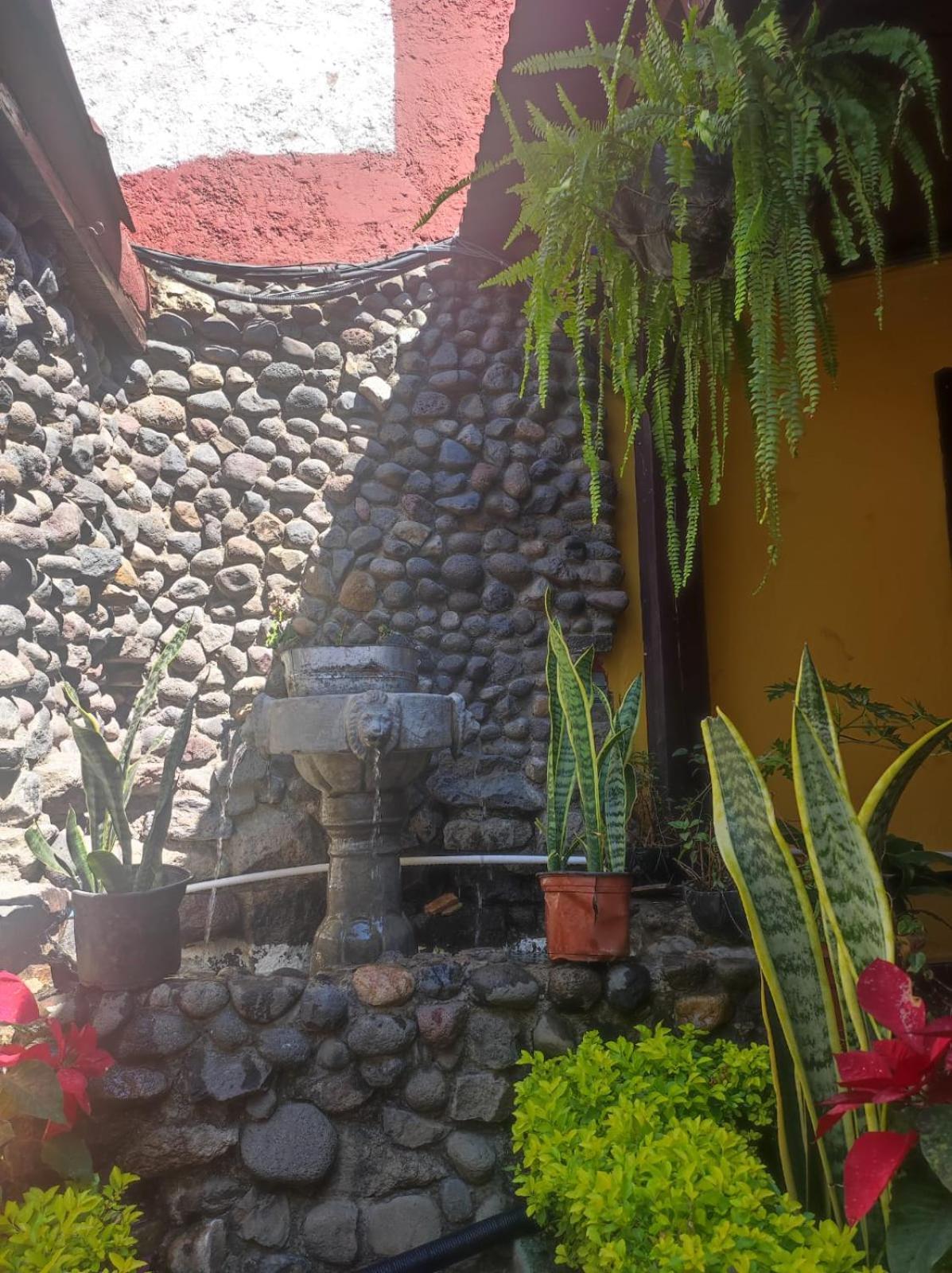 אנטיגואה גואטמלה Casa Nikte Hotel מראה חיצוני תמונה